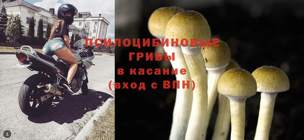 метадон Алзамай
